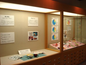 2008年度博物館実習（第1班）実習展示が始まりました