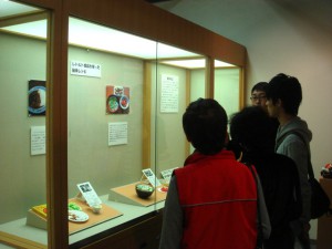 2008年度博物館実習（第1班）実習展示が始まりました