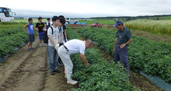 2015年度の産業調査演習報告