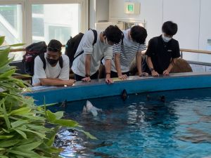 鮭の水槽を除く学生