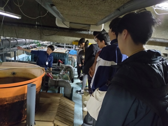 水族館の役割を理解するツアー