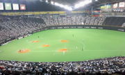 札幌ドームで野球観戦