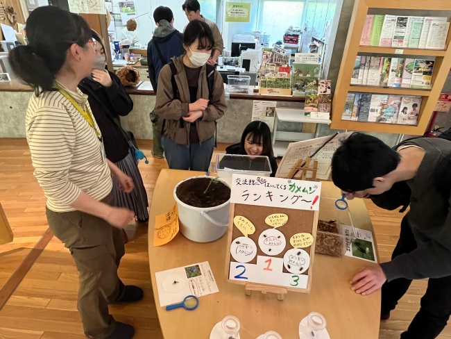 交流館には生き物もいろいろ。カメムシの臭い体験も